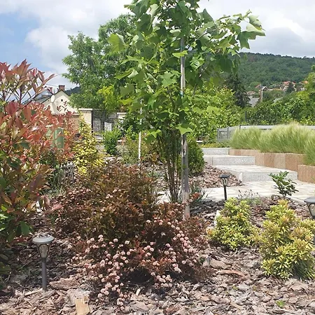 Relax Balaton Apartment *
