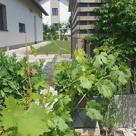 Relax Balaton Διαμέρισμα *