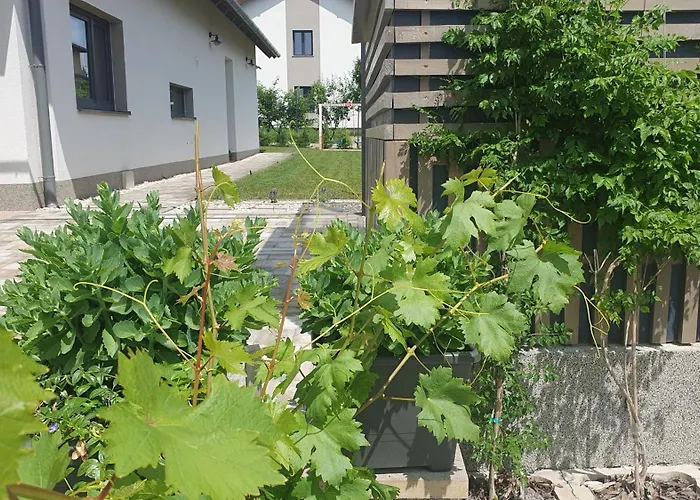 Relax Balaton Apartamento *